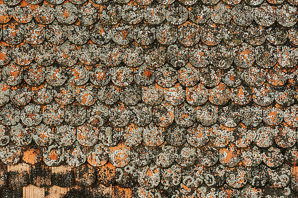 포토 JPG 해외이미지 전통 디자인 외관 백그라운드 패턴 오렌지 건축양식 표면 지붕 날씨 추상 주택 이끼 사람없음 건물 빨간색 초록색 갈색 수확 덮개 시골 도자기 거친 정상 옥상 타일 묘사 질감 점토 루마니아 내추럴 석판 옛날 줄서기 해외포토 건축물 건축 유럽 컬러 무늬 농업 과일 모션 뚜껑 파일형식 이미지허브