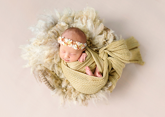 포토 JPG 해외이미지 백인 꽃 감정 사랑 한명 미소 사람 바구니 자녀 아기 신생아 해외포토 서양인 식물 1 표정 파일형식 이미지허브