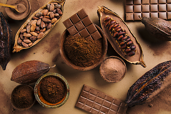 포토 JPG 해외이미지 디저트 사람없음 초콜릿 숟가락 달콤 담기 나무그릇 카카오열매 코코아가루 갈색배경 해외포토 그릇 열매 음식 백그라운드 모션 수저 목재 갈색 맛 가루 카카오 파일형식 이미지허브