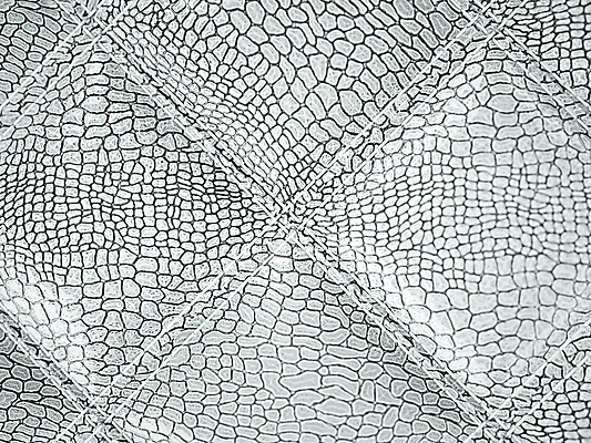 JPG 해외이미지 디자인 백그라운드 일러스트 사람없음 소파 고급 은색 가죽 질감 해외일러스트 컬러 컨셉 의자 파일형식 이미지허브