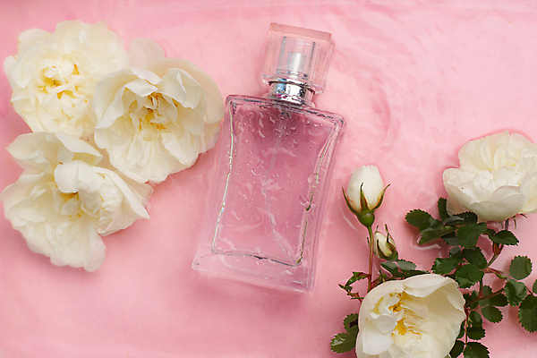 포토 JPG 해외이미지 스튜디오촬영 꽃 분홍색 사람없음 물 미용용품 향수 오브젝트 꽃봉오리 향수병 해외포토 자연요소 식물 컬러 실내 화장품 병_담는 파일형식 이미지허브