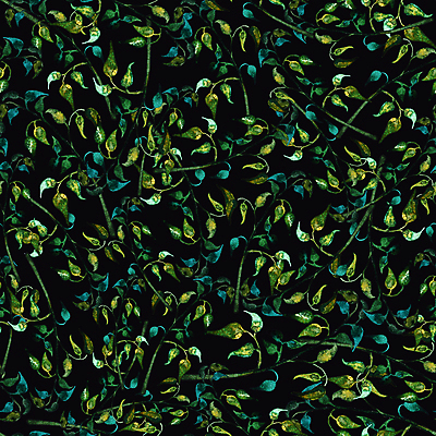 포토 JPG 해외이미지 나무 식물 손 디자인 계절 꽃 종이 백그라운드 잎 꽃무늬 패턴 일러스트 추상 수채화 프레임 미술 사람없음 그래픽 장식 초록색 수확 흰색 나뭇가지 신용카드 화려 그리기 우아함 천 허브 질감 내추럴 고립 옛날 월계수 그리너리 해외일러스트 컬러 컨셉 무늬 농업 모션 문화예술 신체부위 금융 직물 파일형식 트랜드컬러 이미지허브