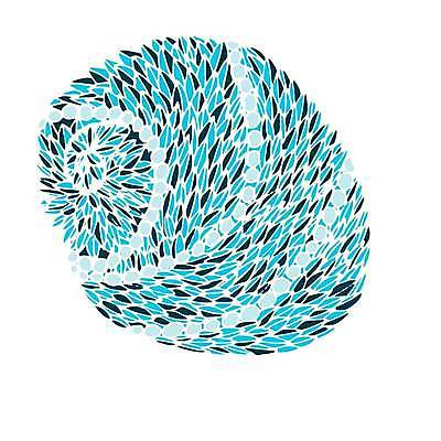 EPS 해외이미지 동물 손 디자인 실루엣 선 바다 여행 백그라운드 패턴 일러스트 자연 추상 조개 연체동물 나선형 미술 그래픽 장식 물 여름 세트 검은색 수중 수확 소용돌이 껍질 흰색 낙서 스케치 수집 문신 심볼 고래 그림 부족 고립 엘리먼트 해외일러스트 자연요소 계절 컬러 컨셉 무늬 농업 포유류 문화예술 어패류 무척추동물 촬영기법 신체부위 수중동물 회오리 생태계 파일형식 벡터 이미지허브