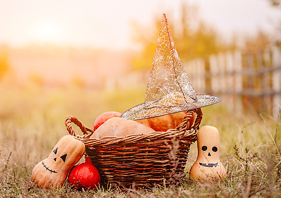 포토 JPG 해외이미지 호박 사람없음 바구니 할로윈 마녀모자 해외포토 모자_잡화 채소 파일형식 이미지허브