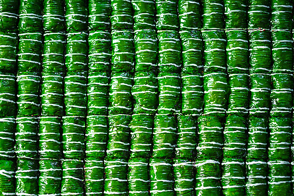 포토 JPG 해외이미지 전통 문화 음식 백그라운드 패턴 디저트 요리 동양인 사람없음 초록색 저녁식사 기쁨 빵집 견과류 축하 클래식 달콤 맛 설탕 질감 호두 동쪽 칠면조 라마단 아랍어 페스츄리 피스타치오 바클라바 맛있는 해외포토 감정 빵 컬러 컨셉 무늬 조류 인종 상점 식사 방향 파일형식 이미지허브