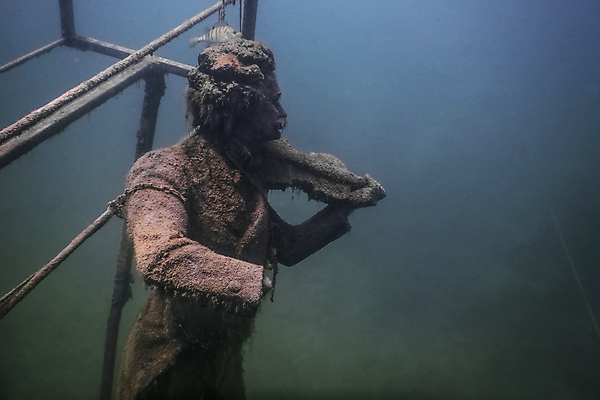 포토 JPG 해외이미지 계절 호수 야생동물 스포츠 파도 자연 휴가 휴식 건강 어류 취미 사람없음 물 여름 파란색 컬러풀 뷰티 환경 수중 수영 꿈 스노클링 오염 잠수부 다이빙 잉어 산소 깊이 동물상 민물 해외포토 자연요소 동물 바다 컬러 컨셉 조형물 수중동물 수상스포츠 원소 전문직 생태계 수중스포츠 파일형식 이미지허브