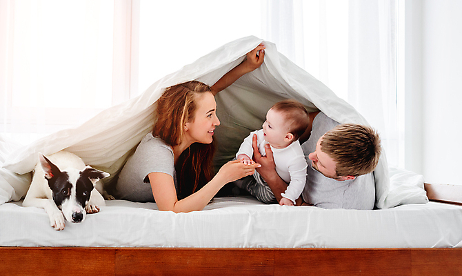 포토 JPG 해외이미지 백인 한마리 여자 남자 반려견 엄마 실내 상반신 성인 옆모습 세명 눕기 마주보기 화목 침실 이불 침대 아기 아빠 강아지 덮기 육아대디 해외포토 서양인 1 뷰포인트 가구 컨셉 가족 침구 모션 사람 내부 반려동물 개 파일형식 이미지허브