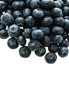 포토 JPG 해외이미지 실내 사람없음 하이앵글 신선 달콤 흰배경 블루베리 카피스페이스 해외포토 뷰포인트 백그라운드 과일 내부 공백 흰색 맛 파일형식 이미지허브