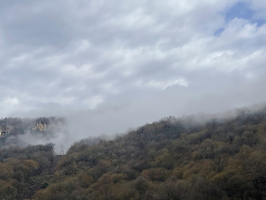 포토 JPG 해외이미지 주간 나무 야생동물 여행 자연 하늘 날씨 사람없음 야외 가로 관광지 환경 놀람 안개 시골 수분 언덕 그림 자연백그라운드 주말 지역 서식지 산악지대 뿌연 해외포토 자연요소 식물 동물 감정 백그라운드 산 표정 생태계 파일형식 이미지허브