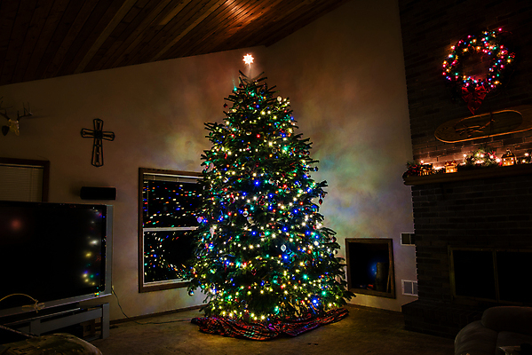 포토 JPG 해외이미지 나무 전통 디자인 계절 별 백그라운드 십자가 크리스마스 겨울 가족 휴가 새로움 주택 실내 선물 사람없음 내부 장식 빛 컬러풀 크리스마스트리 축제 화환 방 축하 예수 12월 연도 벽난로 마법 광 해외포토 자연요소 식물 기념일 꽃 컬러 컨셉 관계 건물 신_종교 날짜 파일형식 이미지허브