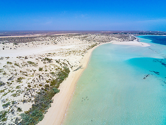 포토 JPG 해외이미지 공원 실루엣 모래 파도 바다 여행 백그라운드 자연 하늘 휴가 안테나 파노라마 풍경 사람없음 물 파란색 놀람 흰색 비행 만 산호 역 호주 큼 모래언덕 상어 암초 넘어짐 드론 서쪽 전국 터키석 파라다이스 해외포토 자연요소 공공시설 감정 컬러 통신 교통시설 모션 촬영기법 표정 어류 오세아니아 자포동물 크기 보석 방향 언덕 생태계 파일형식 이미지허브