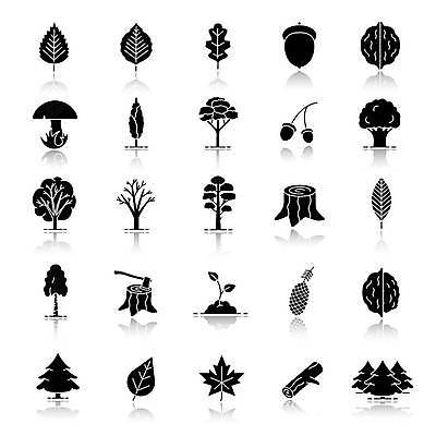 EPS 해외이미지 클립아트 나무 식물 디자인 공원 컨셉 단풍 잎 일러스트 자연 그림자 목재 세트 반사 환경 정원 검은색 웹 버섯 소나무 떨어짐 숲 심볼 생물학 도토리 솔방울 전나무 원뿔 자작나무 내추럴 고립 미루나무 바이오 상형문자 생태학 항목 해외일러스트 도형 문자 공공시설 교육 컬러 인터넷 재료 견과류 생태계 파일형식 벡터 이미지허브