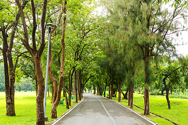 포토 JPG 해외이미지 식물 디자인 공원 도로 백그라운드 컨셉 곡선 자연 날씨 바닥 잔디 사람없음 야외 장식 초록색 환경 정원 침묵 산책 오솔길 방향 클럽 질감 심플 지역 미로 네비게이션 방법 콘크리트 해외포토 공공시설 길 선 컬러 교통시설 휴식 소리 생태계 파일형식 이미지허브