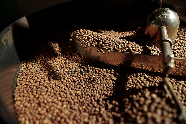 포토 JPG 해외이미지 백인 직업 1 손 남자 커피 비즈니스 사업가 콩 기술 실내 서기 사람 사람없음 어둠 기계 장비 신선 잡기 작업 맛 작음 굽기 확인 준비 유기농 만들기 아로마 바리스타 지역 향 에스프레소 독립 분배 심각 아라비카 자동 공급 해외포토 서양인 웰빙 음료 컨셉 모션 곡류 내부 신체부위 크기 구이 파일형식 이미지허브