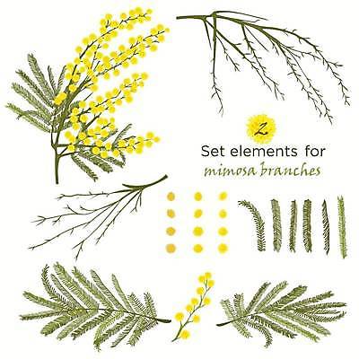 EPS 해외이미지 꽃 잎 일러스트 사람없음 세트 미모사 엘리먼트 해외일러스트 식물 파일형식 벡터 이미지허브