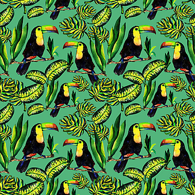 JPG 해외이미지 패턴 일러스트 사람없음 초록색 패턴백그라운드 몬스테라 열대잎 토코투칸 트로피컬아트 해외일러스트 식물 컬러 백그라운드 잎 무늬 조류 그림 파일형식 이미지허브