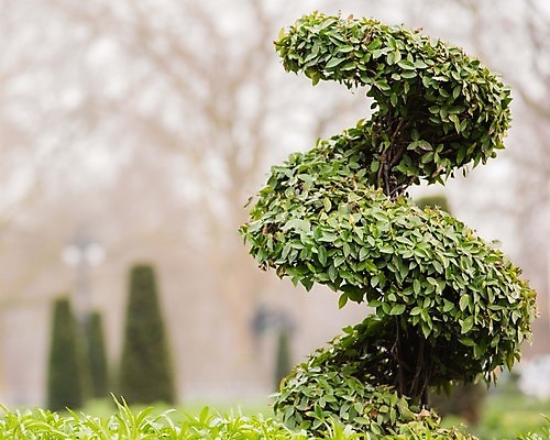 포토 JPG 해외이미지 모양 식물 백그라운드 잎 농업 자연 벽지 영국 잉글랜드 미술 사람없음 야외 장식 초록색 환경 정원 성장 흰색 나뭇가지 신선 행운 냄비 작음 명상 진열장 원예 런던 조경 분재 내추럴 고립 옛날 세련 해외포토 나무 유럽 산업 컬러 컨셉 문화예술 취미 솥 크기 생태계 파일형식 이미지허브