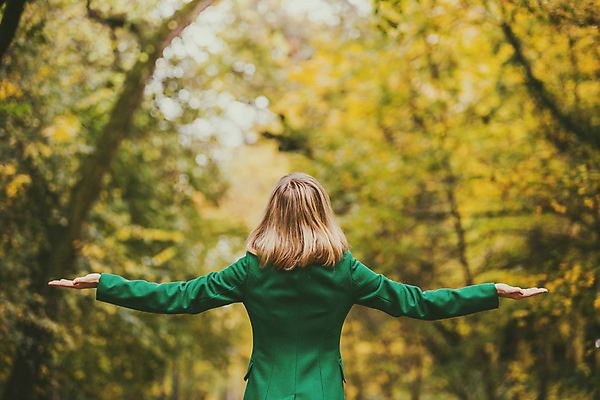 포토 JPG 해외이미지 나무 계절 공원 여자 행복 컨셉 잎 자연 팔벌리기 날씨 휴식 한명 서기 성인 야외 뒷모습 캐주얼 초록색 노란색 고요 기쁨 젖음 자유 코트 올려보기 탐험 가을 숲 심볼 명상 흥분 흐림 염원 해외포토 식물 1 옷 공공시설 감정 뷰포인트 컬러 모션 사람 외투 생태계 파일형식 이미지허브