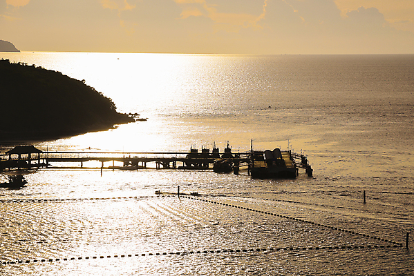 포토 JPG 해외이미지 실루엣 산업 아시아 바다 여행 백그라운드 교통시설 자연 하늘 아침 사람없음 물 파란색 태양 노란색 일출 기계 일몰 새벽 화물 저녁 해외포토 주간 자연요소 나라 컬러 교통 촬영기법 노을 운송업 야간 시설 생태계 파일형식 이미지허브