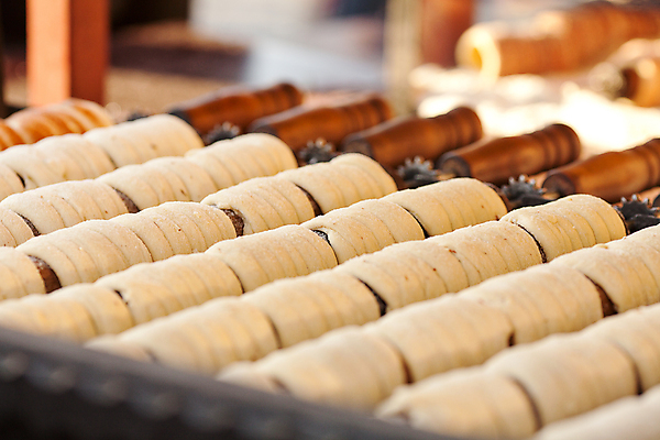 포토 JPG 해외이미지 유럽 문화 음식 백그라운드 프레임 요리 씨앗 사람없음 갈색 노란색 쌓기 쿠키 케이크 식사 빵집 원형 그룹 달콤 아침식사 말벌 설탕 벌 밀 굽기 배열 먹기 배고픔 가득함 오브젝트 속도 유기농 퍼프 슛 패티 덩어리 공평 번 많음 해외포토 도형 식물 웰빙 나라 빵 컬러 곤충 컨셉 모션 디저트 곡류 상점 맛 벌_곤충 구이 파일형식 이미지허브