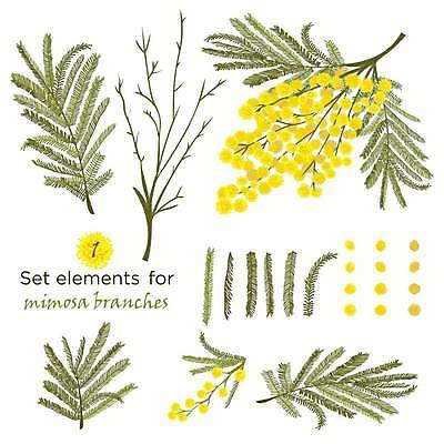 EPS 해외이미지 꽃 잎 일러스트 사람없음 세트 미모사 엘리먼트 해외일러스트 식물 파일형식 벡터 이미지허브