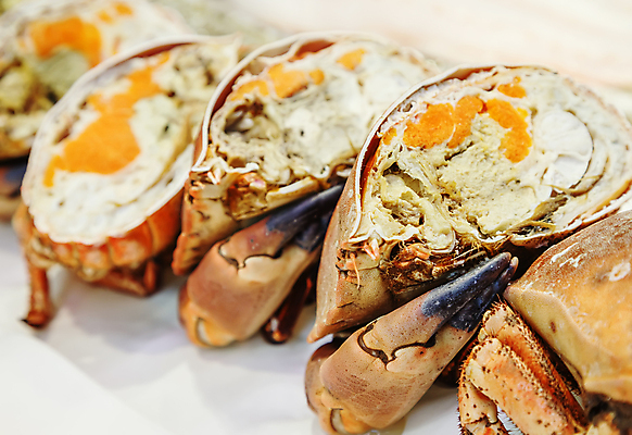 포토 JPG 해외이미지 동물 음식 다이어트 오렌지 자연 낚시 조개 건강 육류 갑각류 어류 요리 사람없음 빨간색 세일 환경 식당 얼음 식사 저녁식사 프랑스 게 껍질 흰색 신선 잡기 시장 바닷가재 자르기 먹기 레몬 해산물 펜치 내추럴 삶기 집게발 해외포토 자연요소 유럽 컬러 과일 식재료 모션 레저 어패류 상점 수중동물 공구 가재 생태계 파일형식 이미지허브