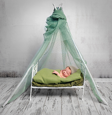 포토 JPG 해외이미지 백인 1 디자인 얼굴 어린이 포즈 컨셉 신체 휴식 새로움 한명 사람 목재 초록색 뷰티 꿈 방 덮개 침대 아기 신생아 잠 달콤 담요 피부 부드러움 위치 결백 벌거벗은 몽환 해외포토 서양인 나무 컬러 가구 재료 신체부위 뚜껑 감각 맛 파일형식 이미지허브