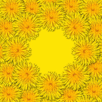 포토 JPG 해외이미지 식물 배너 꽃 꽃다발 잎 꽃무늬 패턴 자연 프레임 흑백 사람없음 장식 노란색 정원 벚꽃 축하 원형 개화 그룹 닫기 민들레 허브 모음 솜털 해외포토 도형 컬러 컨셉 무늬 모션 촬영기법 한글 생태계 파일형식 이미지허브