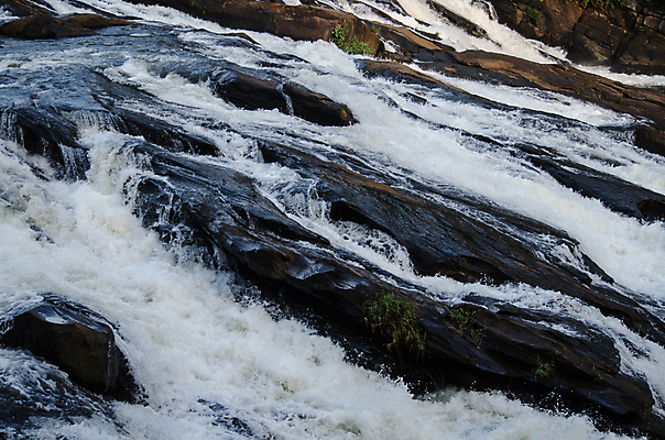 포토 JPG 해외이미지 나무 공원 여행 백그라운드 자연 휴가 산 아이슬란드 사람없음 야외 목재 초록색 물 강 뷰티 환경 놀람 봄 폭포 젖음 신선 개울 숲 열대우림 내추럴 전국 해외포토 자연요소 식물 계절 공공시설 감정 유럽 컬러 재료 표정 생태계 파일형식 이미지허브