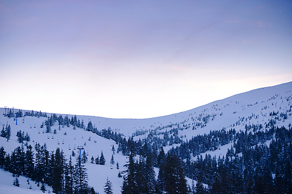 포토 JPG 해외이미지 나무 계절 여행 백그라운드 크리스마스 겨울 자연 하늘 동화 휴가 산 풍경 경사 사람없음 야외 목재 파란색 냉동 얼음 놀람 추위 안개 덮개 백발 흰색 신선 숲 언덕 즐거움 서리 전나무 눈보라 우크라이나 폭설 눈내림 가문비나무 환상 해외포토 자연요소 식물 헤어스타일 기념일 감정 유럽 컬러 컨셉 재료 날씨 눈_날씨 표정 뚜껑 자연재해 생태계 파일형식 이미지허브