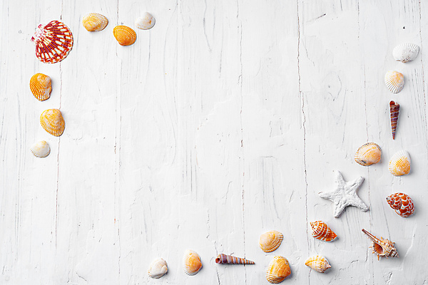 포토 JPG 해외이미지 불가사리 사람없음 조개껍데기 모서리 소라 나무탁자 카피스페이스 해외포토 탁자 조개 어패류 극피동물 공백 파일형식 이미지허브