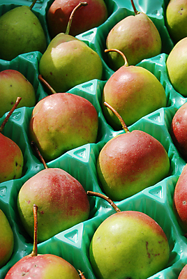 포토 JPG 해외이미지 음식 백그라운드 2 농업 다이어트 채소 과일 자연 디저트 건강 사람없음 초록색 여름 노란색 봄 샐러드 촉촉함 흰색 신선 변화 달콤 자르기 먹기 오브젝트 유기농 날것 비타민 추수감사절 내추럴 고립 생식 숙성 정물화 채식주의자 맛있는 해외포토 웰빙 계절 산업 기독교 컬러 컨셉 모션 젖음 맛 그림 생태계 채식 영양소 파일형식 이미지허브