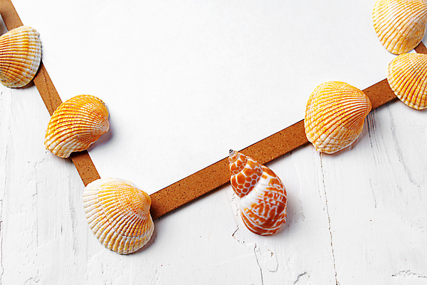 포토 JPG 해외이미지 종이 사람없음 조개껍데기 소라 나무탁자 서류판 카피스페이스 해외포토 탁자 조개 어패류 사무용품 공백 파일형식 이미지허브