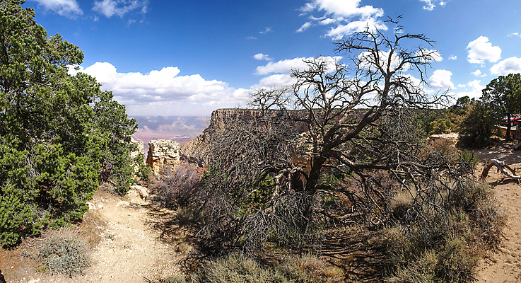 포토 JPG 해외이미지 라이프스타일 커플 공원 남자 행복 여행 2 오렌지 배낭 자연 건강 성인 사람없음 야외 강 여행객 골짜기 미국 하이킹 사막 가장자리 충돌 인도인 부식 애리조나 남쪽 백패커 전국 콜로라도 하이커 쥬라기 해외포토 외국인 공공시설 감정 북아메리카 가방 과일 관계 레저 사람 동양인 생활 둘레 방향 생태계 파일형식 이미지허브