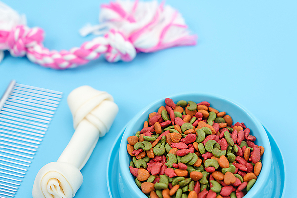 포토 JPG 해외이미지 동물 디자인 음식 컨셉 뼈 프레임 건강 사람없음 목재 장식 초록색 파란색 반려동물 뷰티 유행 상점 금속 고양이 장비 게임 신선 붓 개 강아지 상품 플라스틱 먹기 배고픔 가득함 책상 오브젝트 유기농 송곳니 구성 목록 목업 공급 스타일 카피스페이스 국경 해외포토 나무 웰빙 컬러 가구 재료 포유류 모션 재질 놀이 공백 치아 파일형식 이미지허브