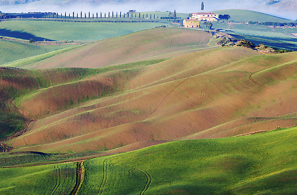 포토 JPG 해외이미지 나무 유럽 여행 밭 농업 자연 안테나 파노라마 풍경 초원 사람없음 초록색 마을 일출 봄 이탈리아 시골 고독 스카이라인 토스카나 해외포토 식물 계절 감정 나라 산업 컬러 통신 촬영기법 노을 생태계 파일형식 이미지허브