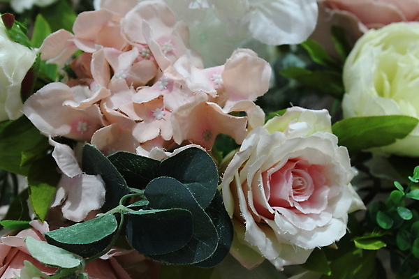 포토 JPG 해외이미지 식물 꽃잎 꽃 포스터 분홍색 꽃다발 백그라운드 꽃무늬 텍스트 자연 추상 사람없음 야외 빨간색 빛 봄 벚꽃 흰색 신용카드 인쇄 보케 해외포토 계절 컬러 무늬 금융 생태계 파일형식 이미지허브