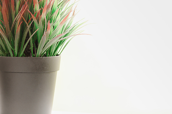 포토 JPG 해외이미지 디자인 계절 백그라운드 컨셉 단풍 잎 패턴 비즈니스 텍스트 탁자 표면 프레임 사람없음 장식 우주 수확 흰색 심볼 사인 흰배경 질감 복고 10월 내추럴 마케팅 옛날 카피스페이스 국경 해외포토 식물 컬러 가구 무늬 농업 공백 날짜 파일형식 이미지허브