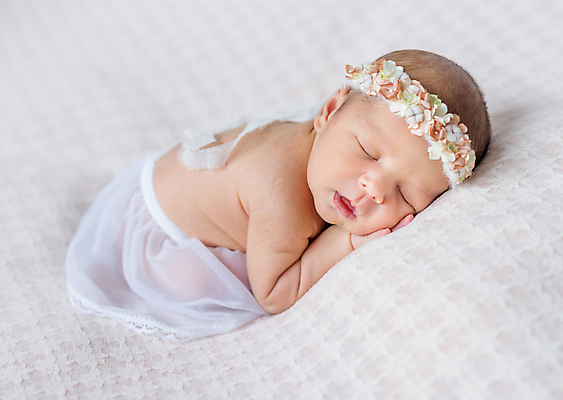 포토 JPG 해외이미지 여자 꽃 한명 사람 귀여움 아기 신생아 머리띠 잠 담요 여자아기한명만 해외포토 식물 1 컨셉 장신구 여자한명만 여자아기만 파일형식 이미지허브