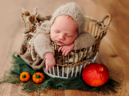 포토 JPG 해외이미지 남자 호박 한명 사람 장식 바구니 귀여움 가을 아기 신생아 잠 남자아기한명만 해외포토 1 계절 컨셉 채소 남자한명만 남자아기만 파일형식 이미지허브