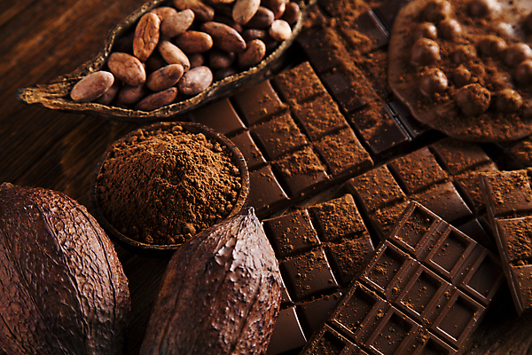 포토 JPG 해외이미지 디저트 사람없음 초콜릿 달콤 카카오열매 코코아가루 나무배경 해외포토 열매 음식 백그라운드 맛 가루 카카오 파일형식 이미지허브