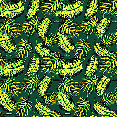 JPG 해외이미지 디자인 백그라운드 패턴 일러스트 사람없음 초록색 패턴백그라운드 몬스테라 열대잎 해외일러스트 식물 컬러 잎 무늬 파일형식 이미지허브