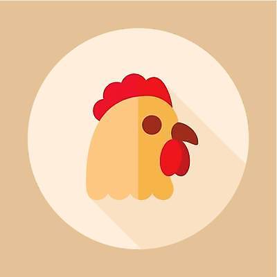 EPS 해외이미지 한마리 일러스트 사람없음 농장 원형 수탉 해외일러스트 도형 1 농업 닭 수컷 파일형식 벡터 이미지허브