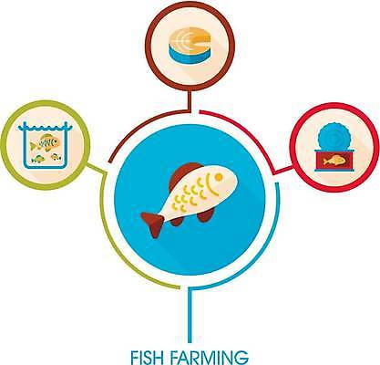 EPS 해외이미지 한마리 일러스트 비즈니스 어류 어업 사람없음 인포그래픽 정보 통조림 양식장 양식업 목차 해외일러스트 1 산업 수중동물 시설 파일형식 벡터 이미지허브