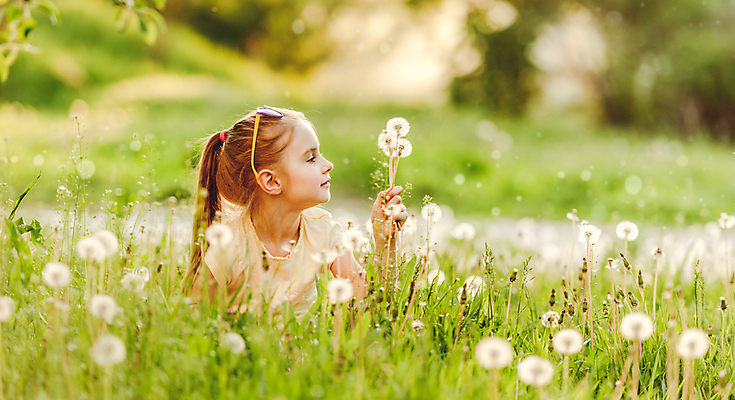 포토 JPG 해외이미지 주간 서양인 응시 여자 어린이 꽃밭 한명 들기 상반신 야외 앞모습 옆모습 아웃포커스 민들레홀씨 소녀한명만 해외포토 자연요소 외국인 1 시선 꽃 뷰포인트 모션 촬영기법 사람 민들레 여자한명만 소녀만 파일형식 이미지허브