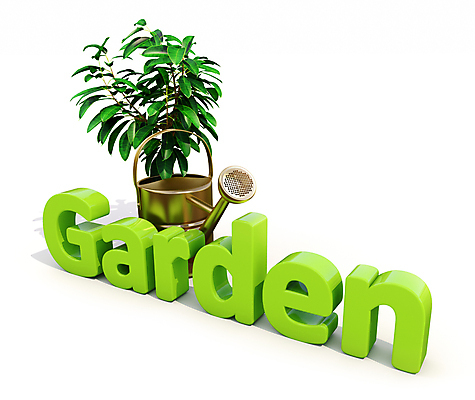 포토 JPG 해외이미지 식물 컨셉 잎 농업 비즈니스 자연 씨앗 풍경 사람없음 야외 정원 농사 물뿌리개 캔 오브젝트 원예 장면 뒤뜰 땅바닥 밭일 그리너리 해외포토 산업 바닥 취미 생태계 파일형식 트랜드컬러 이미지허브