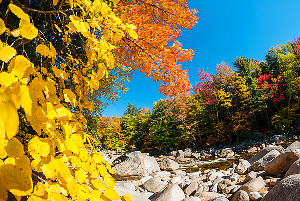 포토 JPG 해외이미지 나무 잎 오렌지 자연 하늘 잉글랜드 새로움 산 파노라마 풍경 사람없음 야외 빨간색 초록색 파란색 컬러풀 노란색 교회 미국 가을 시골 숲 장면 10월 해외포토 식물 계절 컬러 컨셉 북아메리카 과일 종교건축 영국 촬영기법 건물 날짜 생태계 파일형식 이미지허브
