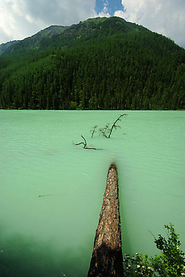 포토 JPG 해외이미지 나무 구름 공원 호수 여행 자연 하늘 아침 산 풍경 사람없음 야외 초록색 물 여름 빛 태양 뷰티 반사 일출 침묵 황혼 일몰 안개 전원 연못 황무지 연기 숲 큼 언덕 알프스 멀리 흐림 뿌연 해외포토 주간 자연요소 식물 계절 공공시설 유럽 컬러 날씨 노을 소리 전기에너지 크기 생태계 파일형식 이미지허브
