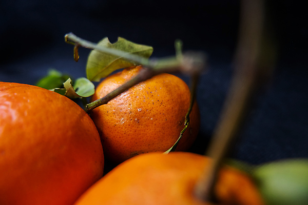 포토 JPG 해외이미지 검은배경 귤 실내 근접촬영 사람없음 소프트포커스 해외포토 뷰포인트 백그라운드 과일 촬영기법 내부 검은색 파일형식 이미지허브