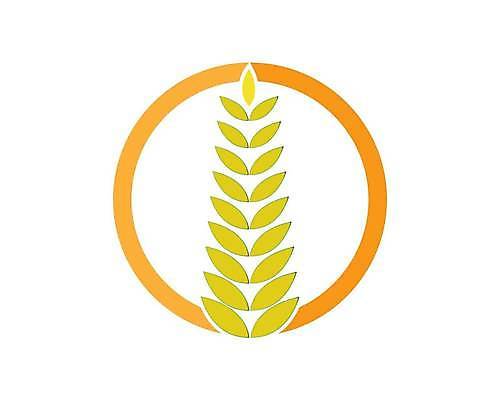 EPS 해외이미지 식물 디자인 배너 음식 빵 백그라운드 농업 다이어트 일러스트 밥 건조 건강 옥수수 씨앗 농작물 농장 노란색 라벨 수확 성장 흰색 신선 시장 황금 상품 낟알 밀 먹기 심볼 사인 유기농 귀 밀가루 C 스파이크 내추럴 고립 밭일 엘리먼트 귀리 해외일러스트 웰빙 알파벳 산업 컬러 모션 곡류 프레임 신체부위 가루 파일형식 벡터 이미지허브